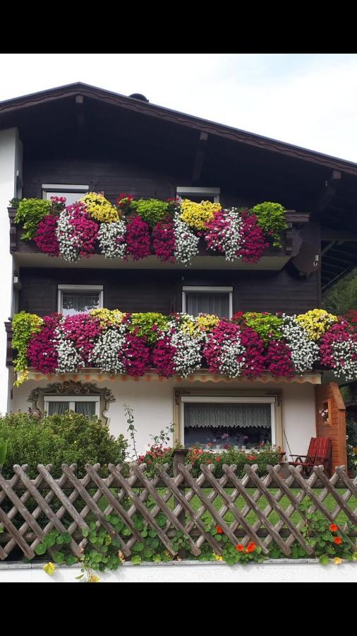 Haus Bergblick Apartment Walchsee Ngoại thất bức ảnh